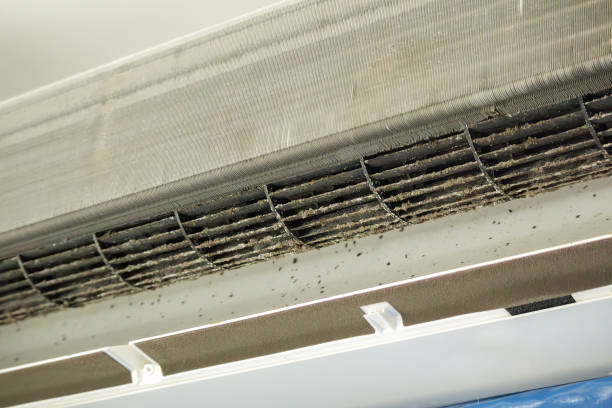 Best Ventilation Cleaning Services  in Victor, ID